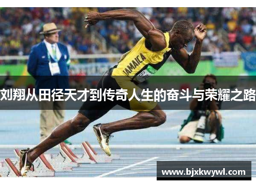 刘翔从田径天才到传奇人生的奋斗与荣耀之路