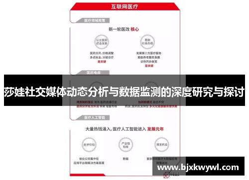 莎娃社交媒体动态分析与数据监测的深度研究与探讨
