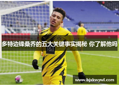 多特边锋桑乔的五大关键事实揭秘 你了解他吗