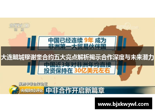 大连鲲城穆谢奎合约五大亮点解析揭示合作深度与未来潜力