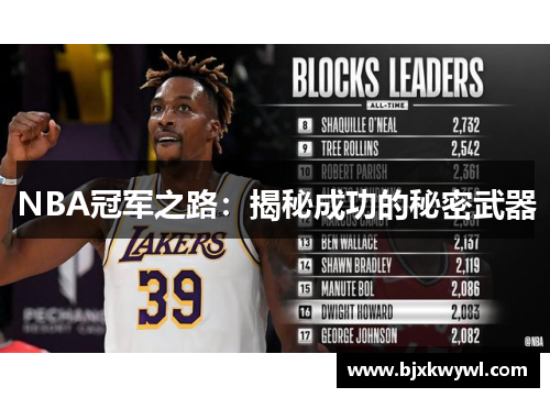 NBA冠军之路：揭秘成功的秘密武器